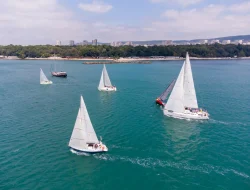 aerial view of sailing yachts regatta race on sea 2025 03 13 21 32 10 utc